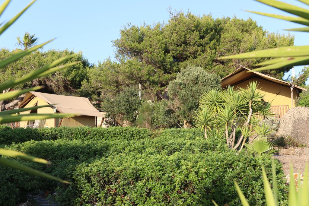 Desert lodge en safari lodge retraite op sardinie