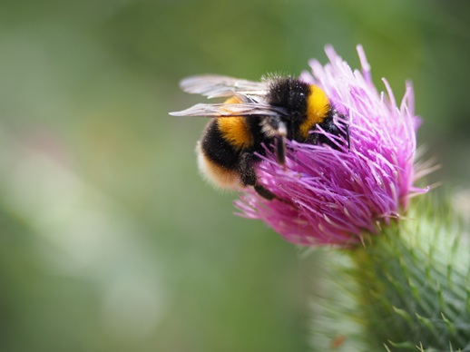 Voorjaarsmoeheid voorkomen met een lente retreat op Sardinie.