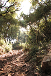 BodyMind reset weken in het najaar op sardinie.