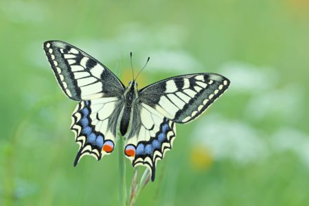 Individuele coaching op Sardinie.